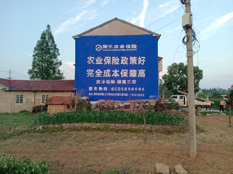 晴隆墙体广告的优劣势你知道吗？