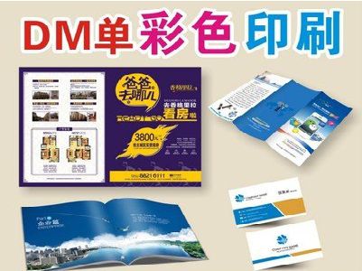 晴隆单页印刷，色彩搭配简单。